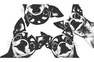 curious chihuahuas looking down, an Animal Illustration by AlexArt