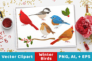 Winter Birds Christmas Clipart, an Animal Illustration by The Digital Download Shop (Thumbnail 1 of 3)