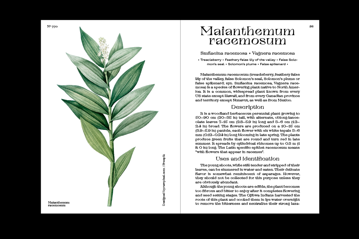 TT Alientz, a Serif Font by TypeType (Photo 14 of 15)