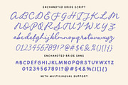 Enchanted Bride Wedding Font, a Script Font by Letterhend Studio (Thumbnail 11 of 12)