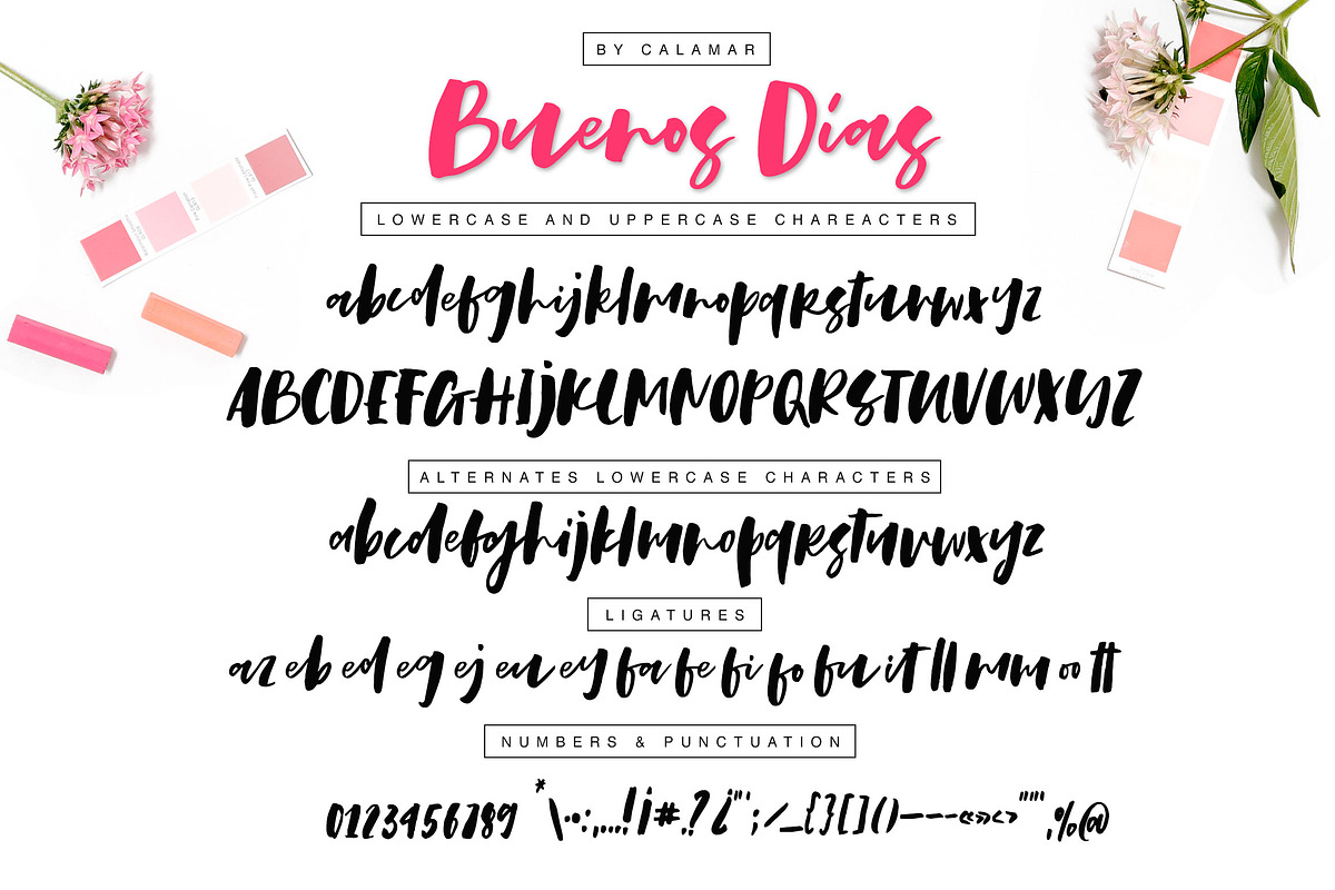 Buenos Dias Font + Extras preview 2