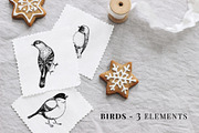 Christmas Elements. Winter Bundle, a Seasonal Illustration by Yevheniia (Thumbnail 6 of 10)