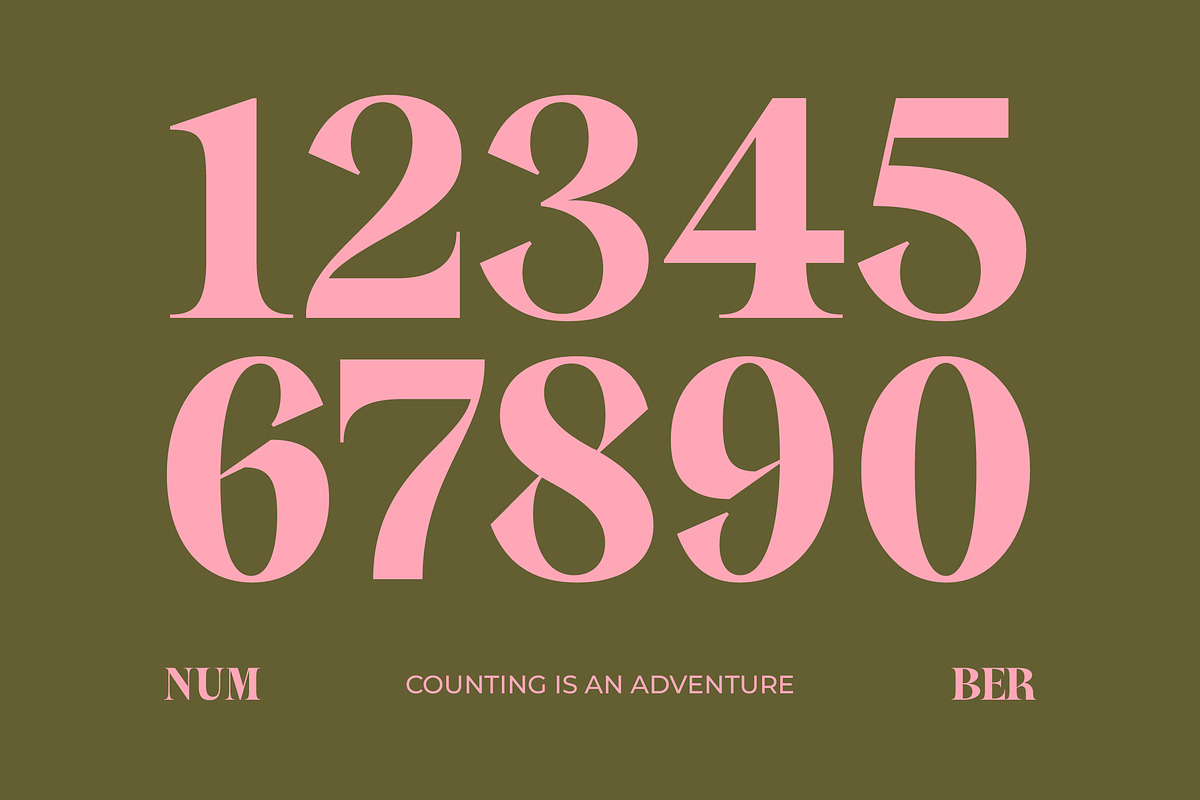 Sagira Beverly Modern Display Serif, a Script Font by timelesstype.co (Photo 10 of 15)