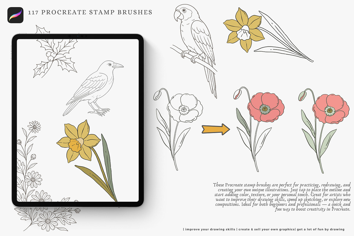 birth month flowers birds procreate