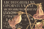 Caroowa Modern Serif Display, a Serif Font by timelesstype.co (Thumbnail 18 of 20)