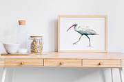Birds watercolor illustrations, an Animal Illustration by Vero Arts (Thumbnail 6 of 11)