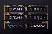 Tiverton Font Trio, a Font by Adam Fathony (Thumbnail 4 of 11)