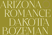 Bigest Karath Thin Serif Display, a Serif Font by timelesstype.co (Thumbnail 12 of 20)