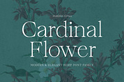 Cardinal Flower, a Serif Font by Typehill (Thumbnail 1 of 15)