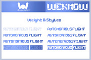 Autonomous Flight font, a Blackletter Font by weknow (Thumbnail 7 of 8)