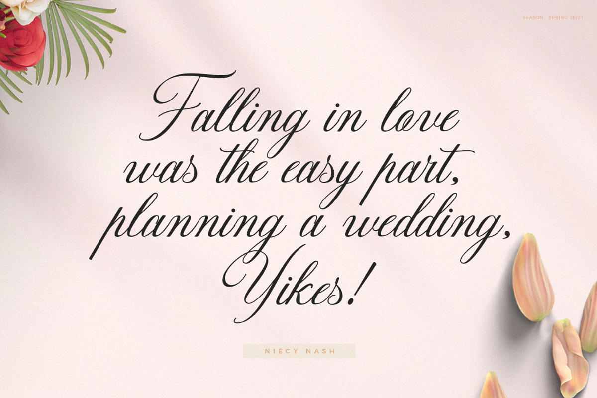 Darshye Script, a Script Font by Solidtype (Photo 2 of 7)