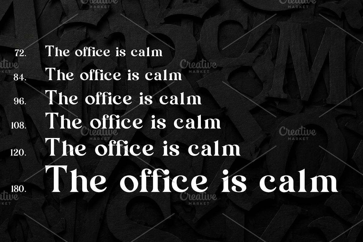 Ravendale modern serif, a Serif Font by pictranoosa_studio (Photo 4 of 5)