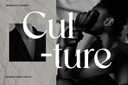 Stylebooks Typeface Serif Font, a Serif Font by UICreative (Thumbnail 9 of 13)