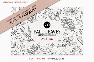 Fall Leaf Procreate Brush Stamps