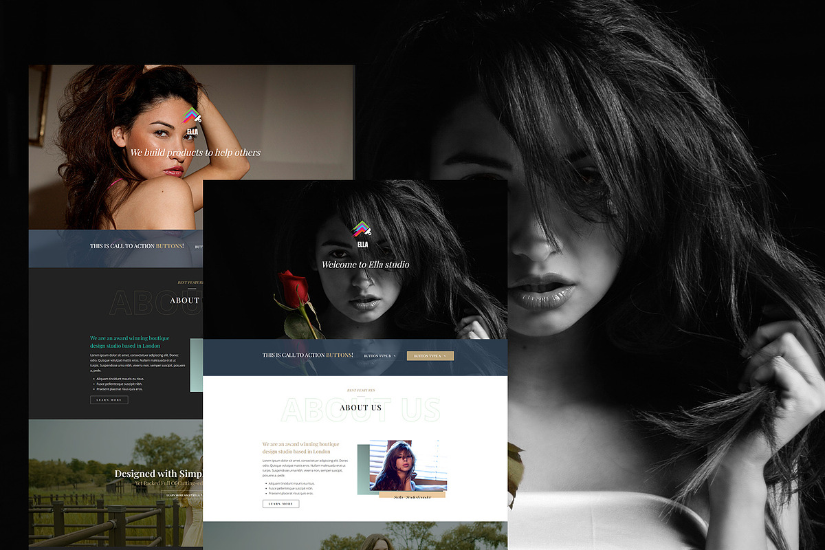 Ella – One Page Parallax Theme, a WordPress Template by pixelonetry (Photo 4 of 5)
