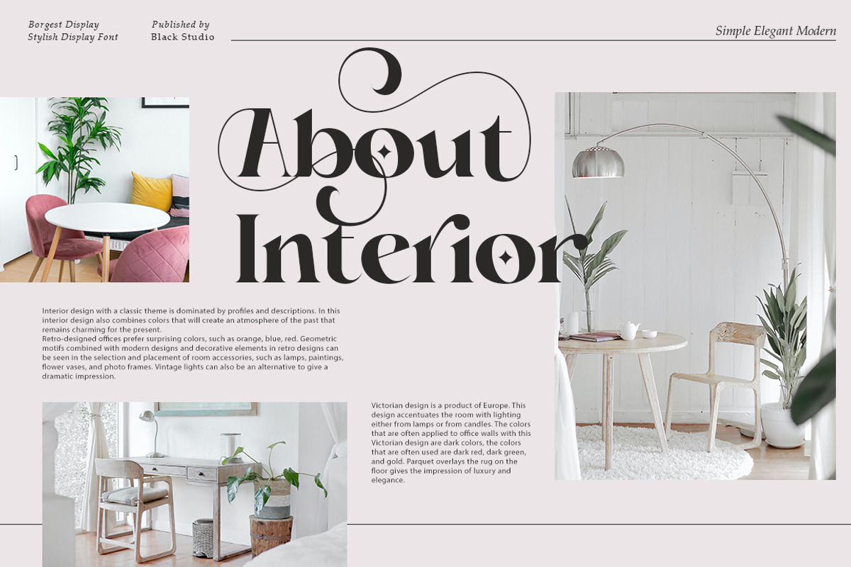 Borgest Display, a Serif Font by Black Studio (Photo 5 of 15)