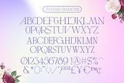 Calang Dreams with Ligatures, a Serif Font by Siwox Studios (Thumbnail 7 of 8)