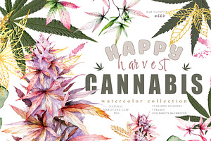 Cannabis. Marijuana harvest set.