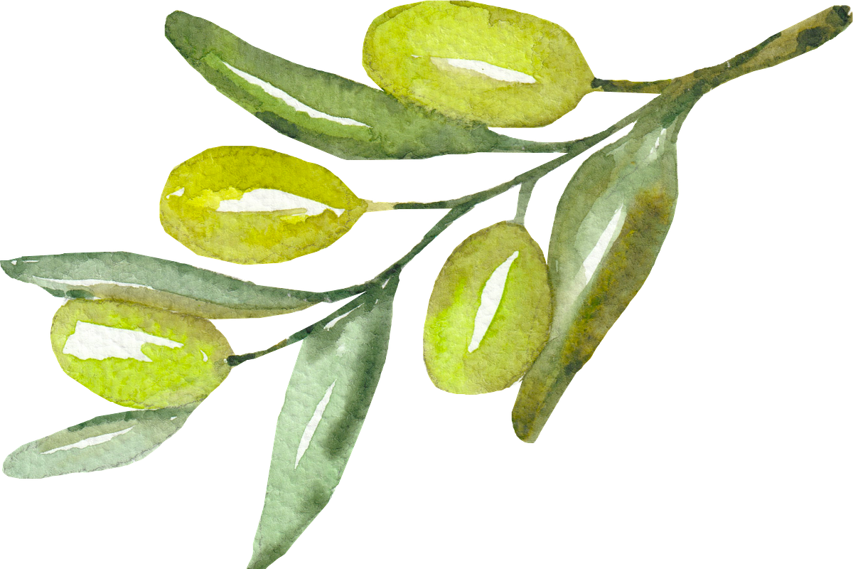Olive watercolor clipart, a Background Graphic by GoodFairyClipArt (Photo 3 of 3)
