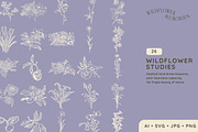 Wildflower Memories 110 Illustration, a Decorative Illustration by JuliBelushi (Thumbnail 4 of 9)