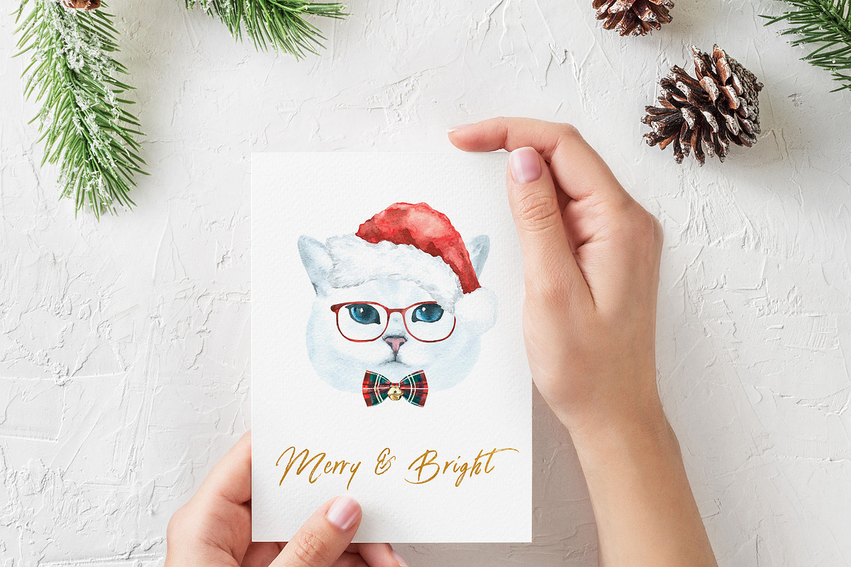 Christmas Character Dogs & Cats, an Animal Illustration by Catherine Wheel (Photo 17 of 23)