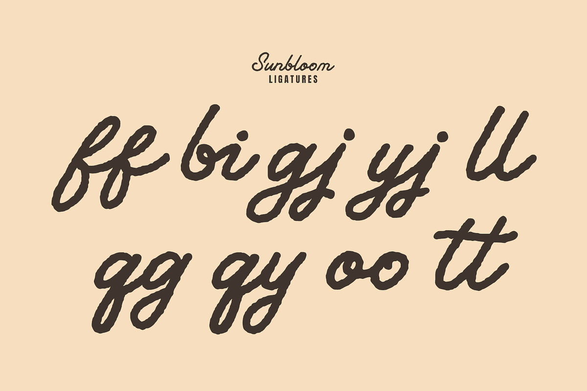 Sunbloom, a Script Font by Nathatype (Photo 7 of 10)