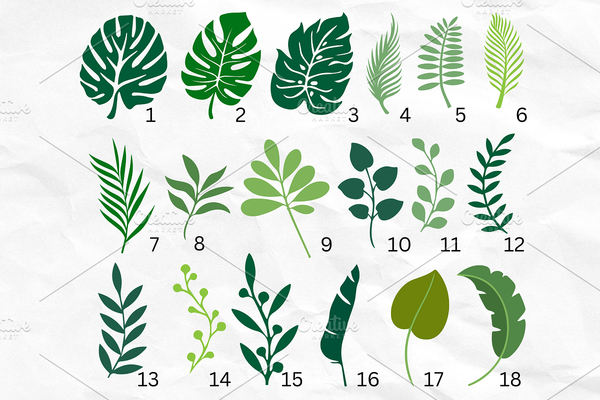 Tropical Leaves Bundle SVG PNG, an Object Graphic by Createble (Photo 2 of 6)