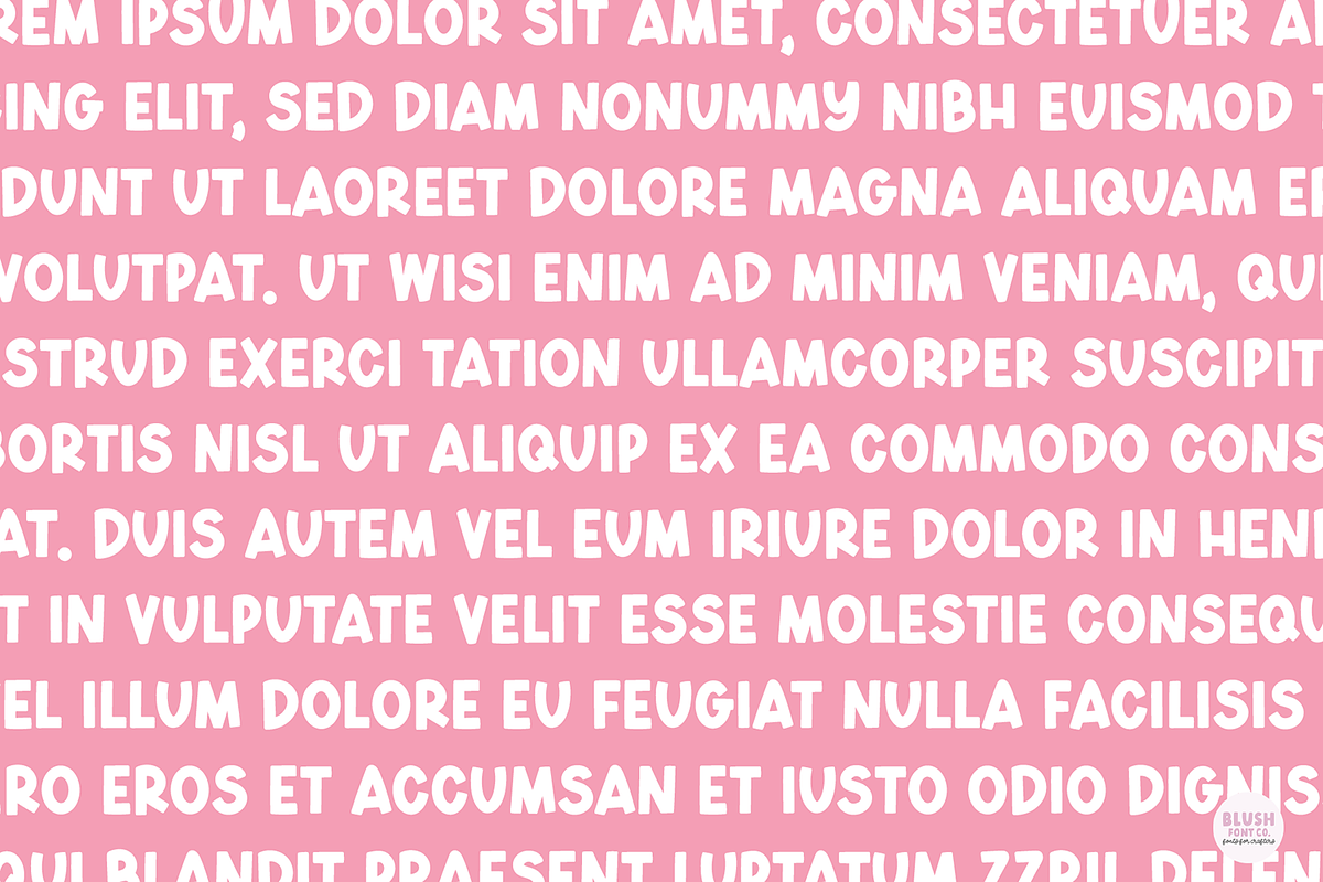 AUTUMN DISPLAY Bold Font, a Font by Blush Font Co. (Photo 5 of 6)