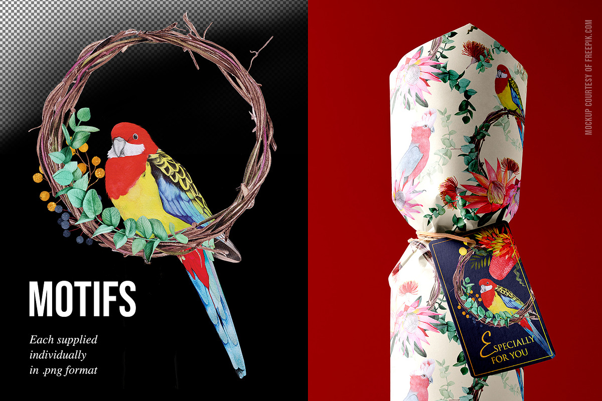 AUSTRALIA FAIR Elements, a Decorative Illustration by Dana Designs (Photo 12 of 14)