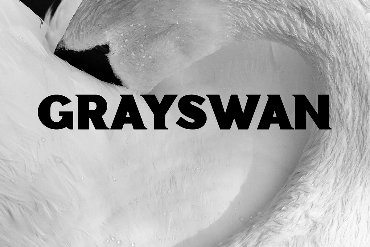 Grayswan font family, a Serif Font by vlad.berla (Photo 1 of 8)