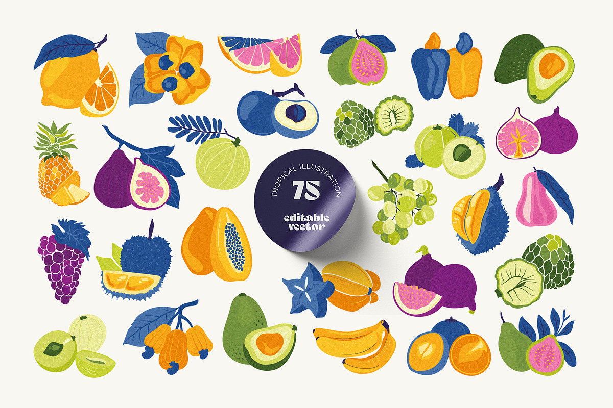 Tropical Fruits Illustration, a Food Illustration by KetteCreate (Photo 5 of 14)