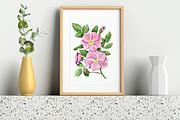 Rose Hip Flowers Clipart, a Decorative Illustration by Milla_Zelenyuk_art (Thumbnail 4 of 7)