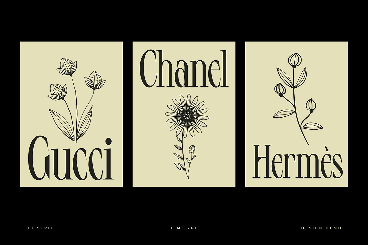 LT Serif - Modern Serif Font, a Serif Font by limitype (Photo 4 of 9)