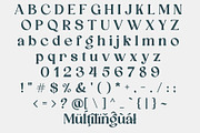 Aexori - Serif Font Family, a Serif Font by NDNL Studio (Thumbnail 11 of 12)