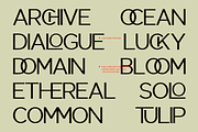 Mutualhe - Minimalist Sans Family, a Sans Serif Font by Indotype Foundry (Thumbnail 4 of 10)