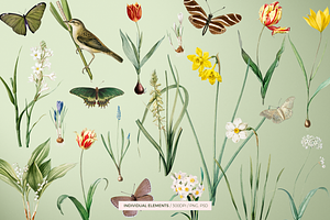 SPRING FLOWERS SEAMLESS PATTERNS