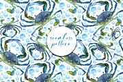 Marine Watercolor Clipart, an Animal Illustration by YarovaArt (Thumbnail 9 of 19)