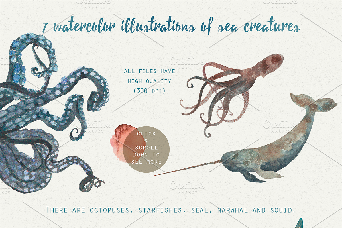 Watercolor Design Set | Muriel, an Illustration by Elisa Ursa (Photo 2 of 7)