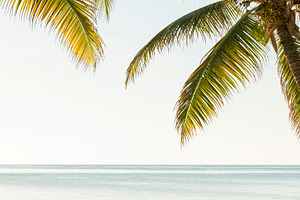 Tropical Island Deckchairs, a Holiday Photo by THP Creative