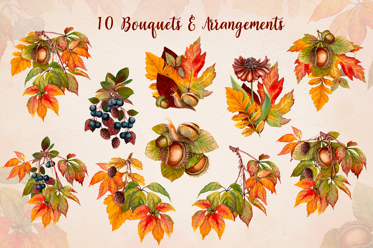 Fall Vibes watercolor floral clipart, an Illustration by Nadya Saen Art (Photo 4 of 15)