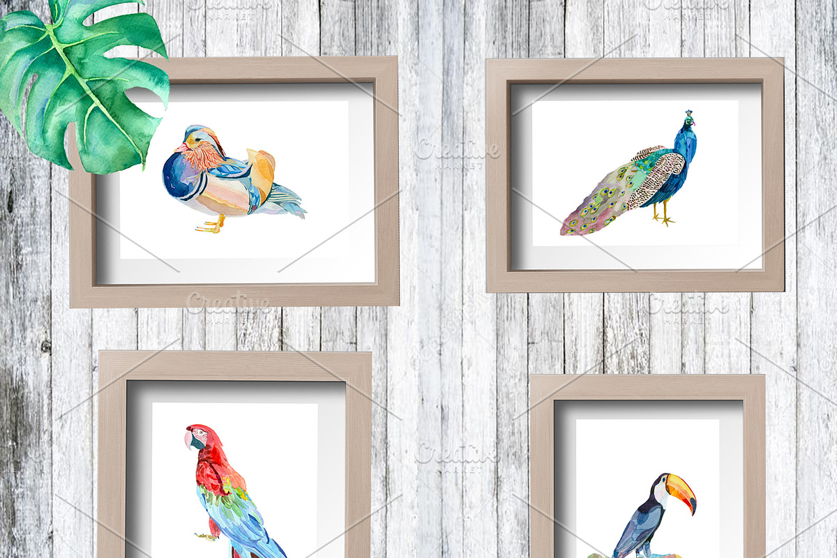 Watercolor animals, leafs, birds, an Animal Illustration by Watercolor arts (Photo 3 of 6)
