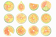 Watercolor Citrus Fruit Clipart, an Illustration by Libby Wishes (Thumbnail 2 of 7)
