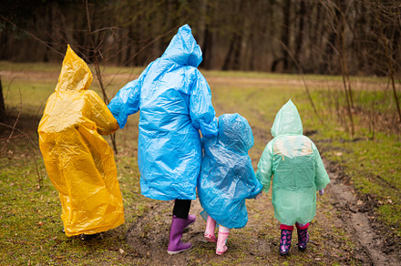 Rear view of mother and three children walking in the forest aft, a Person Photo by AS photostudio