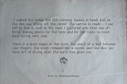 Imperfect Organic Serif Font, a Serif Font by whiteheartdesign (Thumbnail 2 of 12)