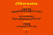 Rollik Typeface, a Serif Font by alit design (Thumbnail 11 of 17)