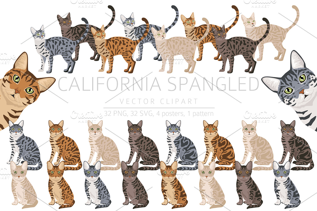 California Spangled Cat clipart set, an Animal Illustration by pet design shop (Photo 1 of 6)