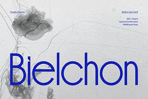 Bielchon | Modern Sans Serif