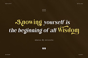 Wistle – Elegant Stylish Serif, a Serif Font by Almeera Std (Thumbnail 3 of 10)