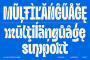 Nobulina - Experimental Display Font, a Sans Serif Font by Zarma Type (Thumbnail 9 of 16)