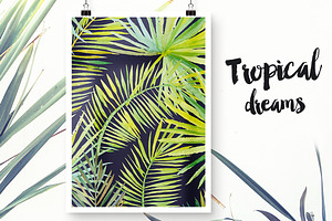 Tropical Dreams Patterns